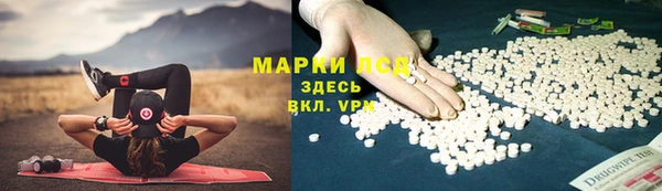 молекула духа Мегион