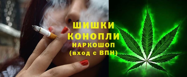 молекула духа Мегион