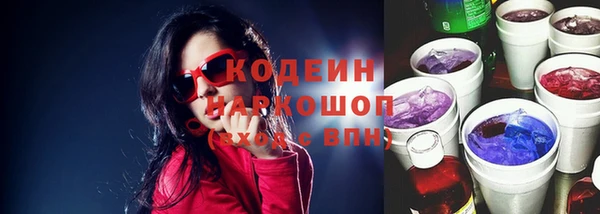 МДПВ Струнино