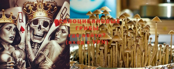 твердый Майский