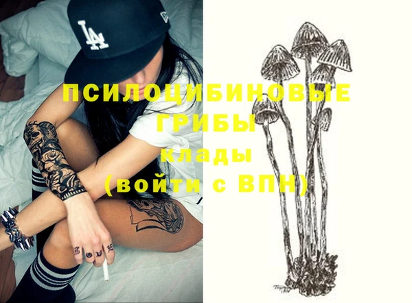 твердый Майский