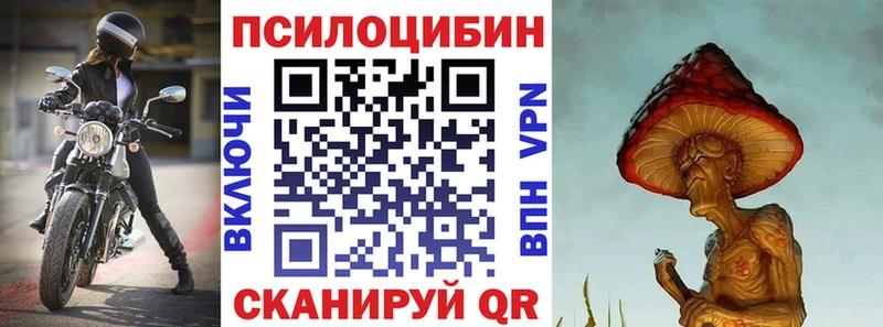 blacksprut ссылка  Новосиль  Галлюциногенные грибы Cubensis 